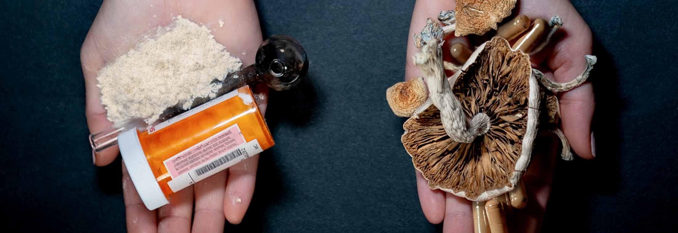 Dosed Review: Getting clean on psychotropic medicine | SWITCH.
