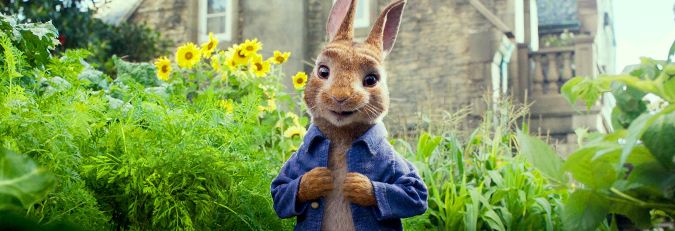 Win Peter Rabbit: Hop in and grab this great prize for the family ...