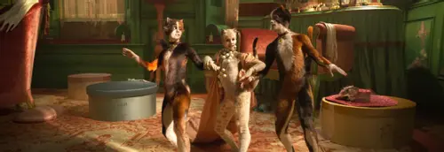 Cats - No bad kitty, no one is the Jellicle Cat