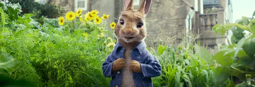 Peter Rabbit - Cheeky and funny but a very different breed of bunny