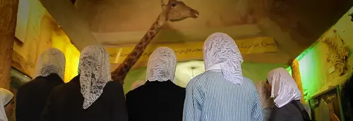 Waiting For Giraffes - A tall order for an impossible zoo