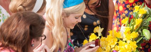 Daffodils - New Zealand Musical almost in full bloom