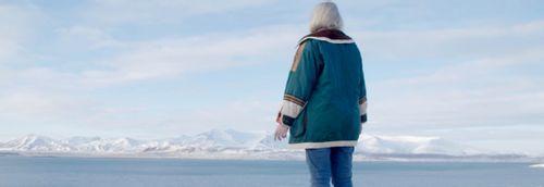 The Seer and the Unseen - Elves and environmentalism under the Northern Lights