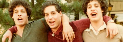 Three Identical Strangers - Triple the twists and turns