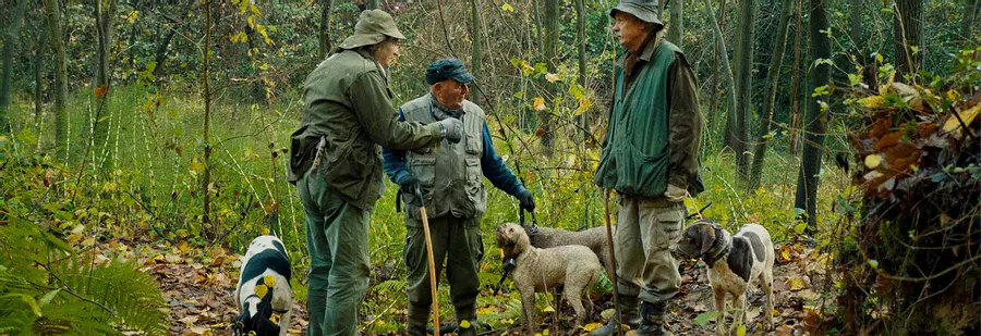 The Truffle Hunters - Joy and dedication in the dirt of Northern Italy