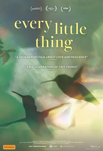 Theatrical poster of the movie 'Every Little Thing'.