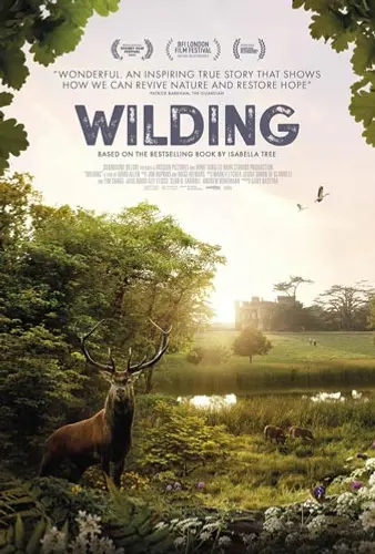 Theatrical poster of the movie 'Wilding'.