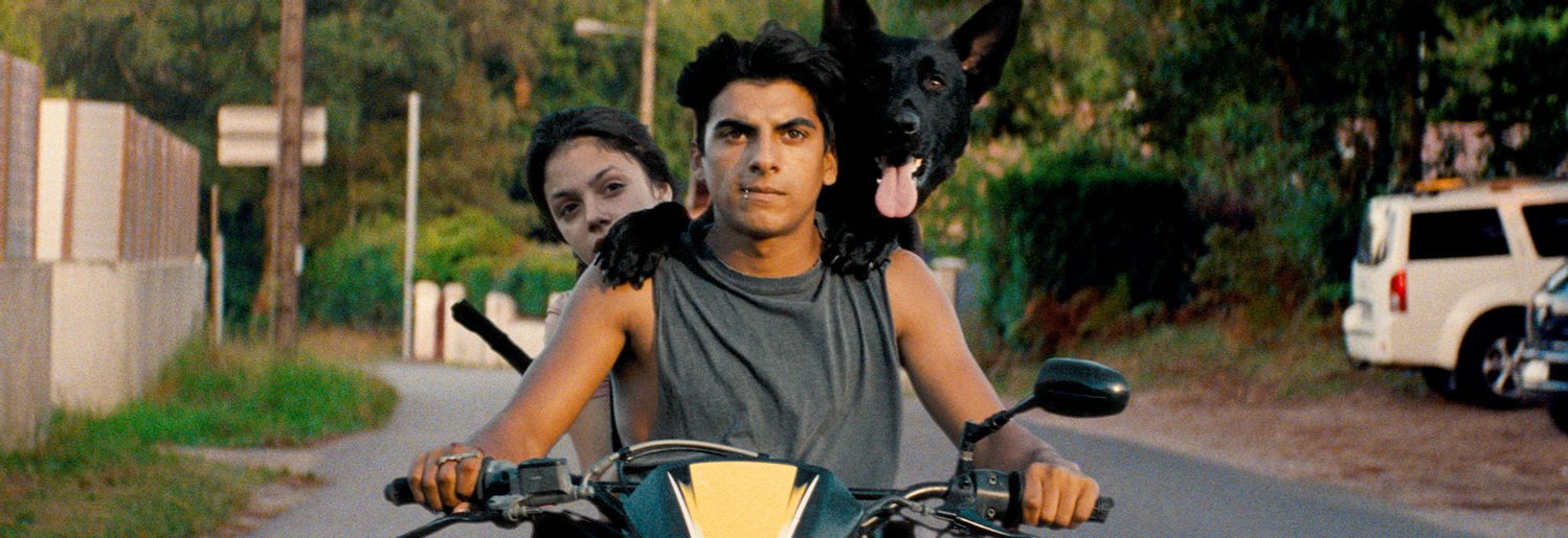 Alliance Française French Film Festival 2018 - Artistic Director Philippe Platel's top six films