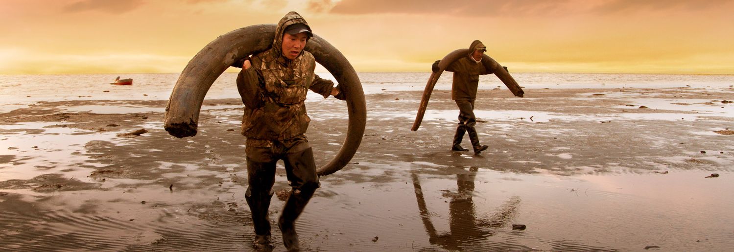 Genesis 2.0 - The next age of man?