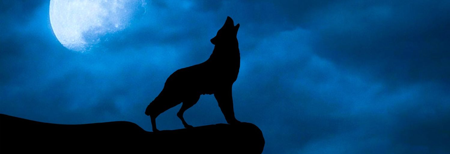 25 Free-to-Watch Short Horror Films - The scariest shorts we uncovered online