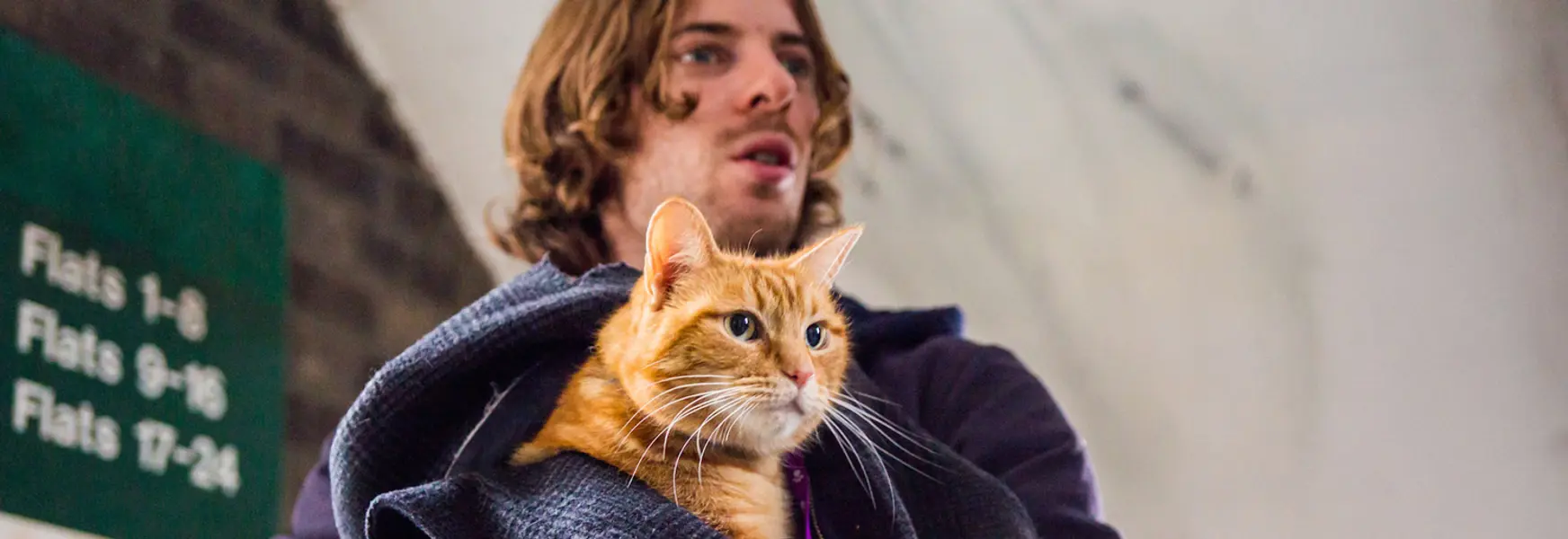 A Street Cat Named Bob - Sanitised truth