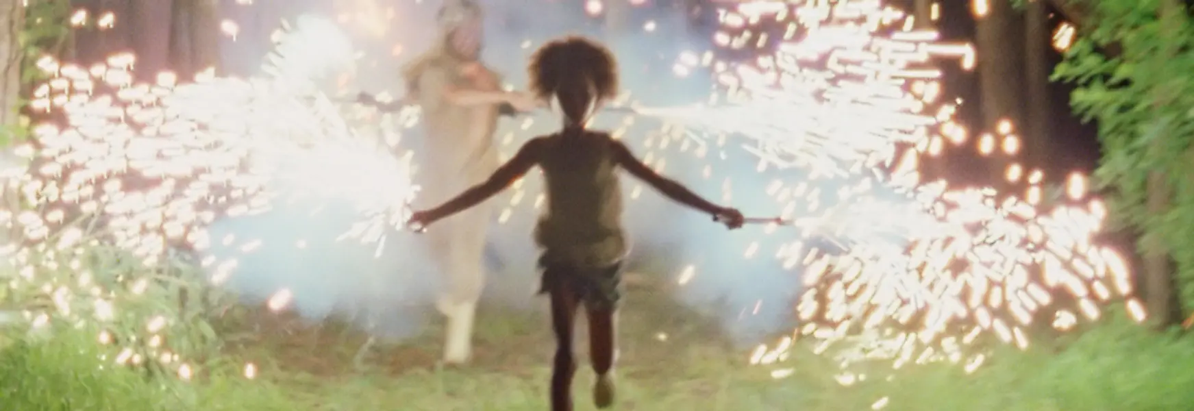 Beasts of the Southern Wild - A unique tale