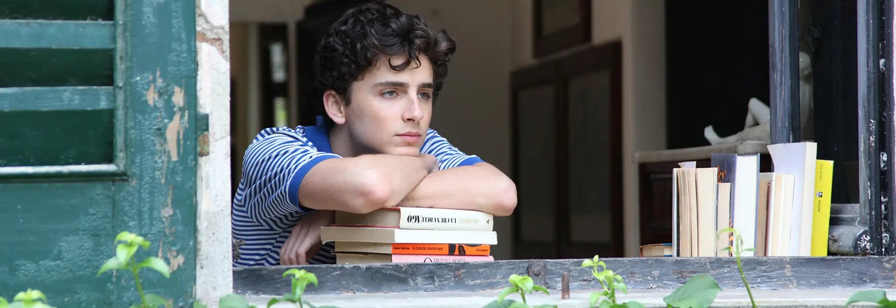 Call Me By Your Name - A beautiful love story starring Armie Hammer and Timothée Chalamet
