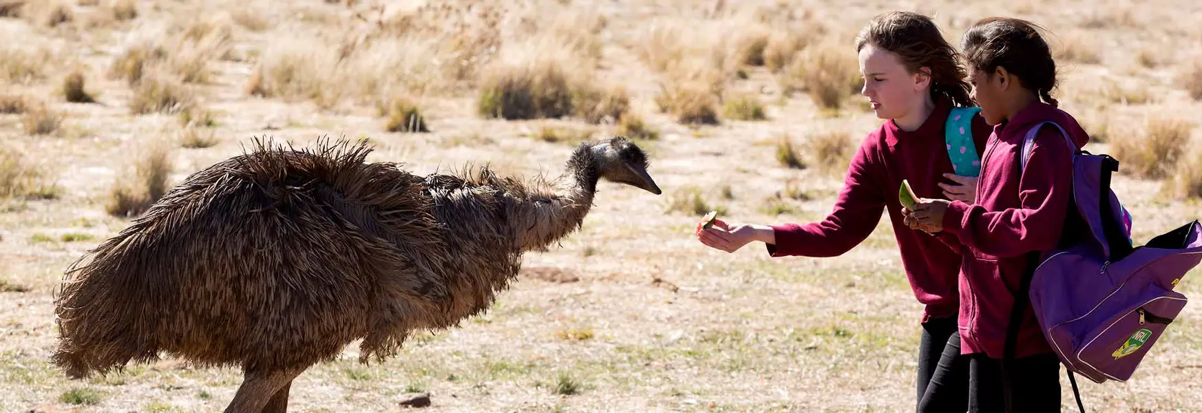 Emu Runner - Another great win for Indigenous storytelling