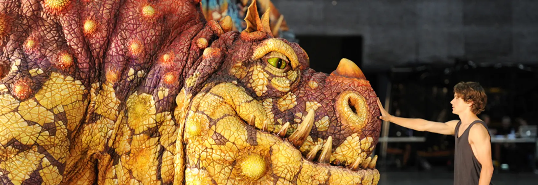 How To Train Your Dragon - The Arena Spectacular