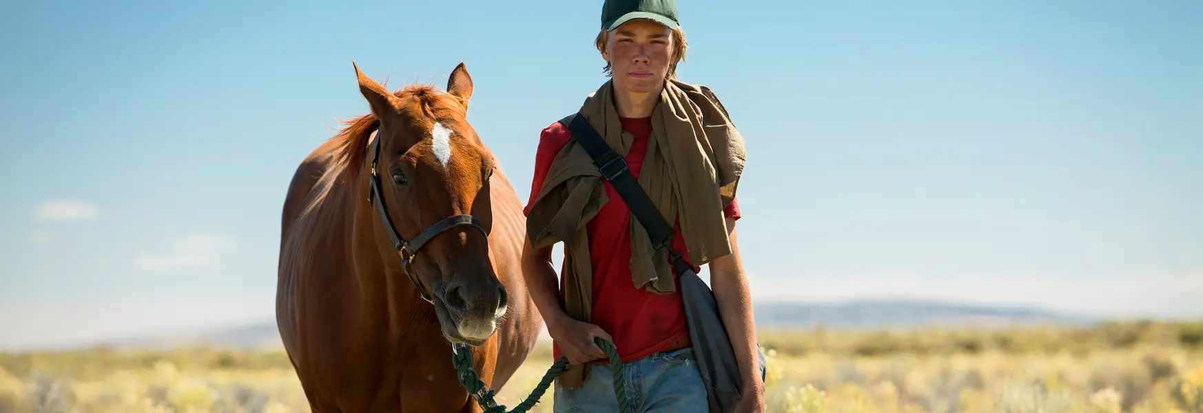Lean on Pete - A journey to uncover love and connection