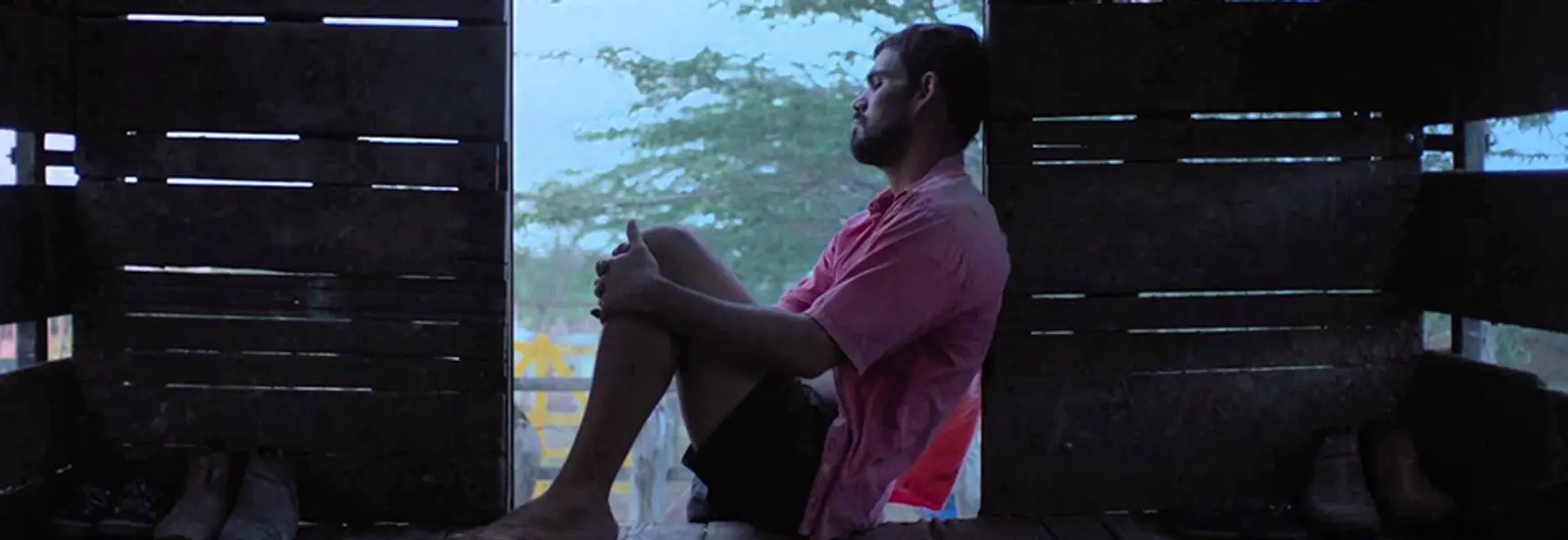 Neon Bull - A magical and beguiling Brazilian dream