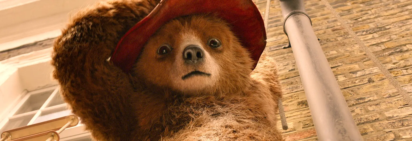 Paddington 2 - Trust and bear-lieve, it’s a paw-fect sequel