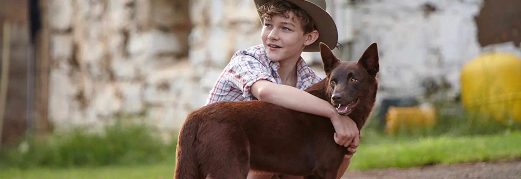 Red Dog: True Blue - A much-needed Aussie tale