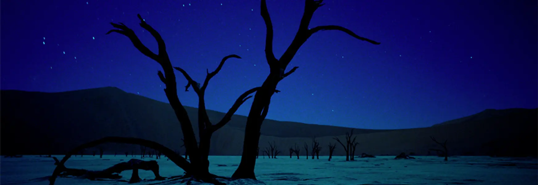 Samsara - A visually stunning experience