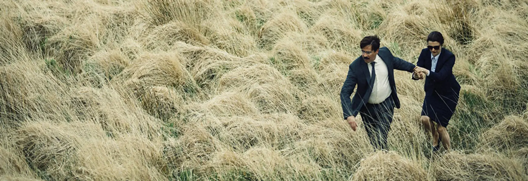 The Lobster - Highly original, totally barmy and absolutely inspired