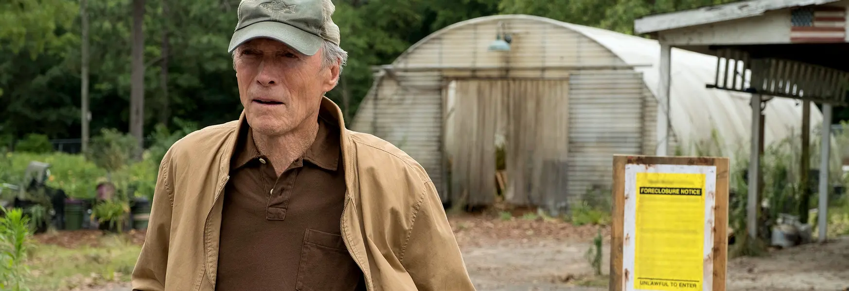 The Mule - Old mule, not-so-new tricks