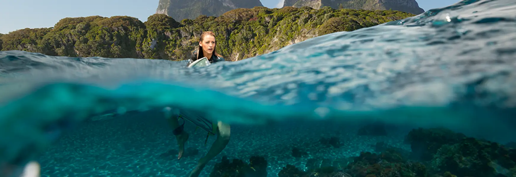 The Shallows - Not quite the modern 'Jaws'