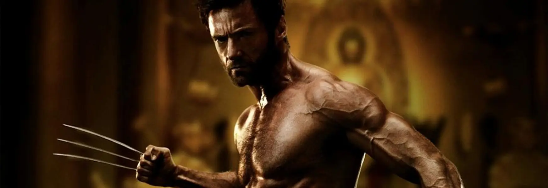 The Wolverine - Losing steam the sixth time round
