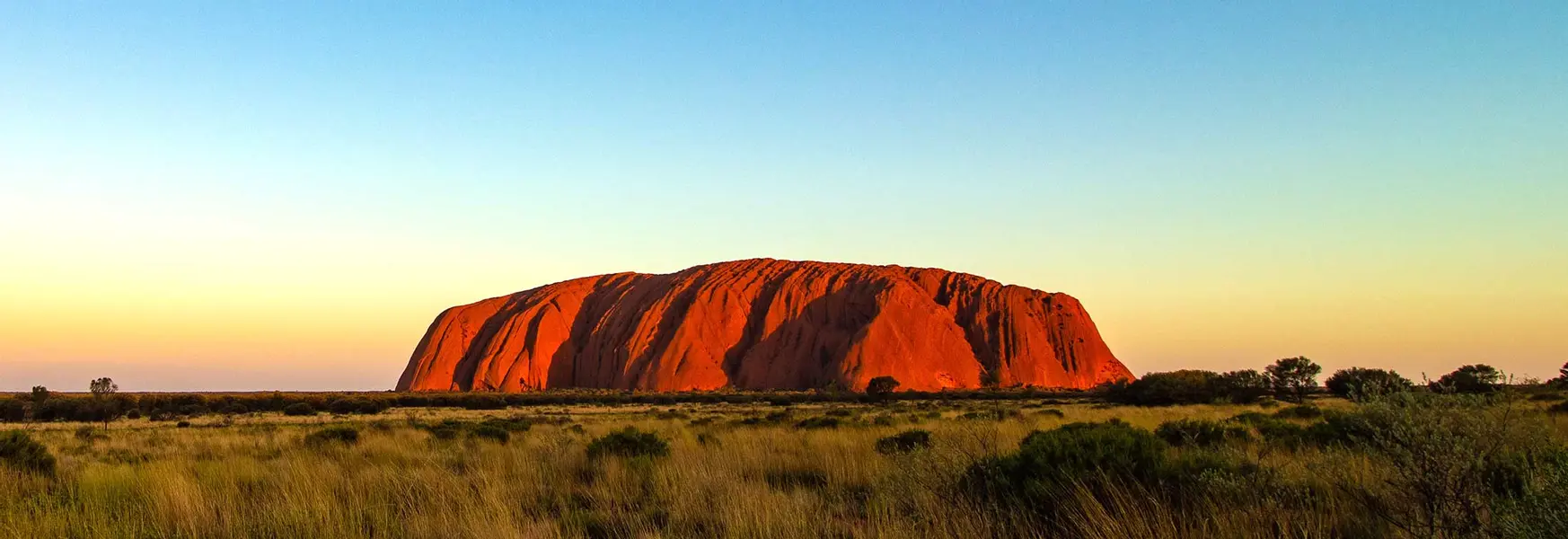 NAIDOC Week - Films bringing Indigenous voices to the big screen