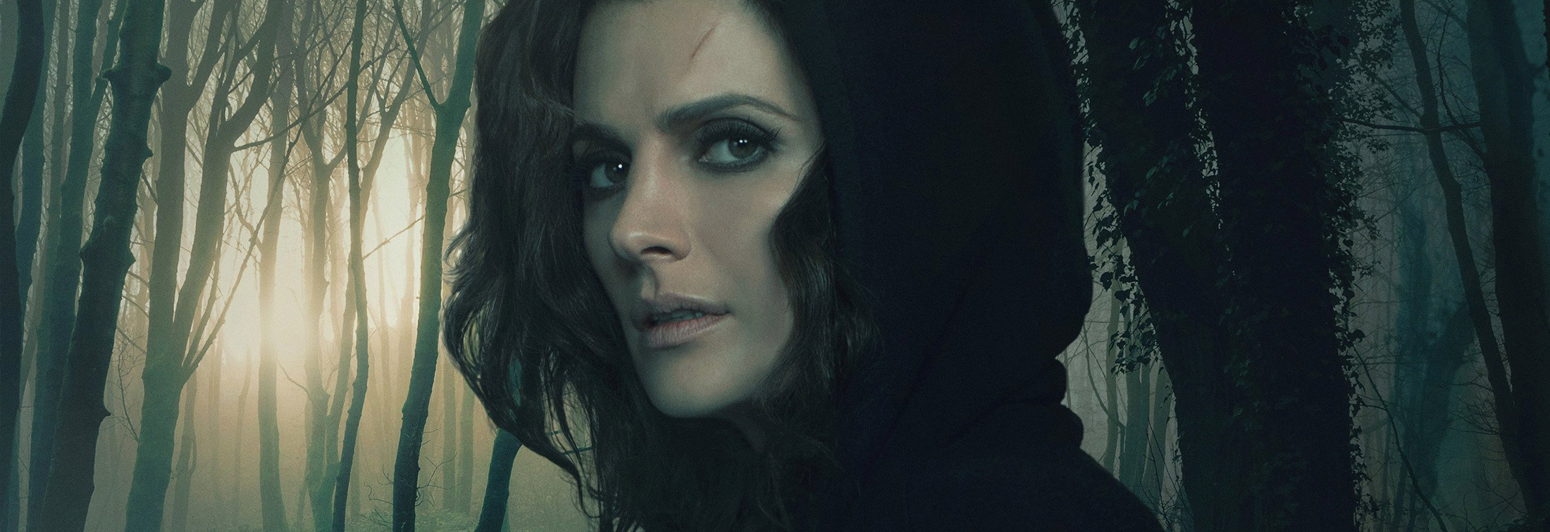 Absentia Season 1 - Search for the truth
