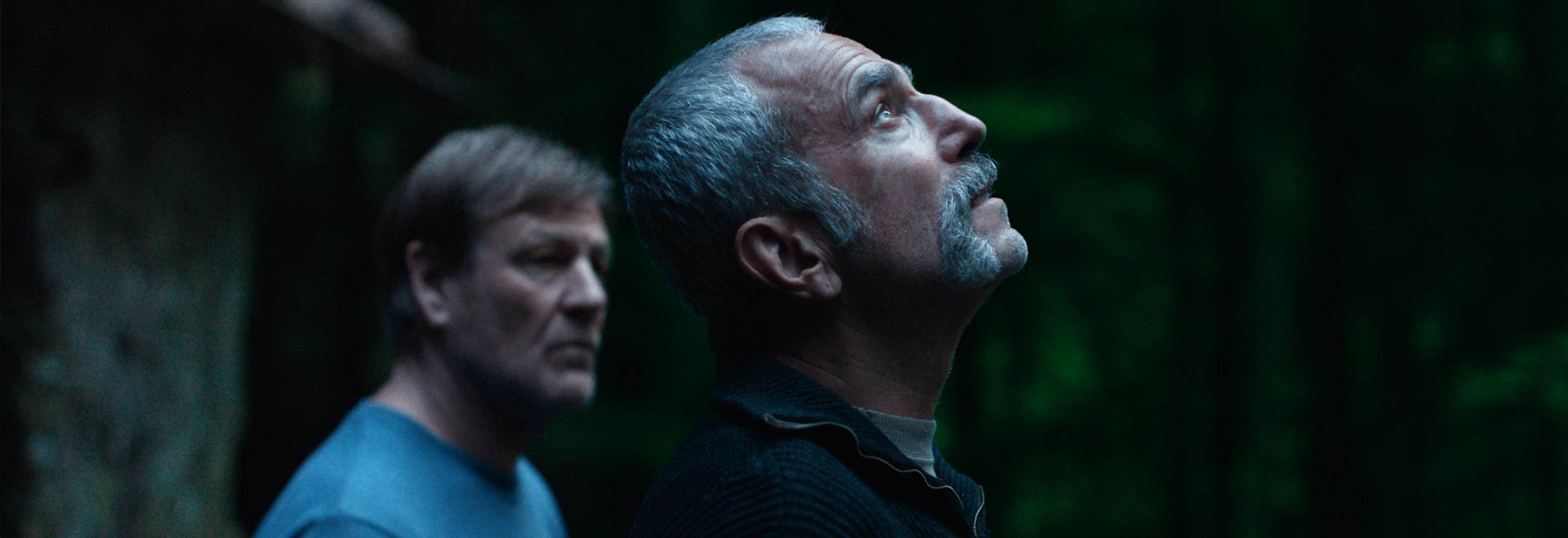Anemone - Is Daniel Day-Lewis's retreat from retirement worthwhile?