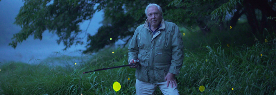 David Attenborough: Life That Glows - Learn about luminance with a legend