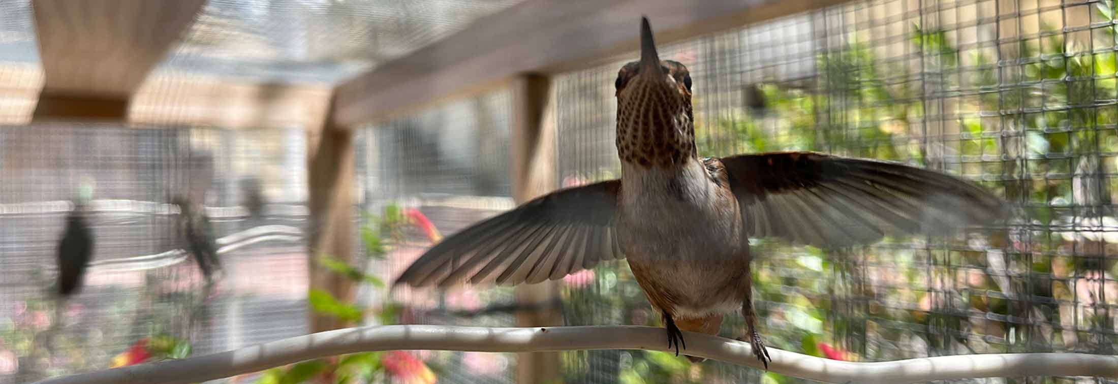 Every Little Thing - From the smallest of acts emerge grace