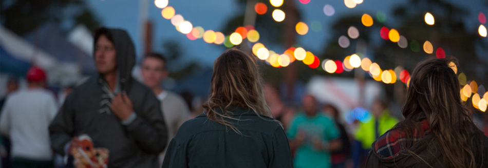 Falls Festival 2015 - A massive line-up