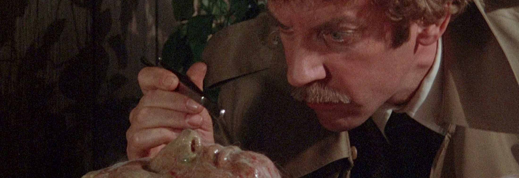Invasion of the Body Snatchers - A great work of 1970s paranoia cinema shines in this new restoration
