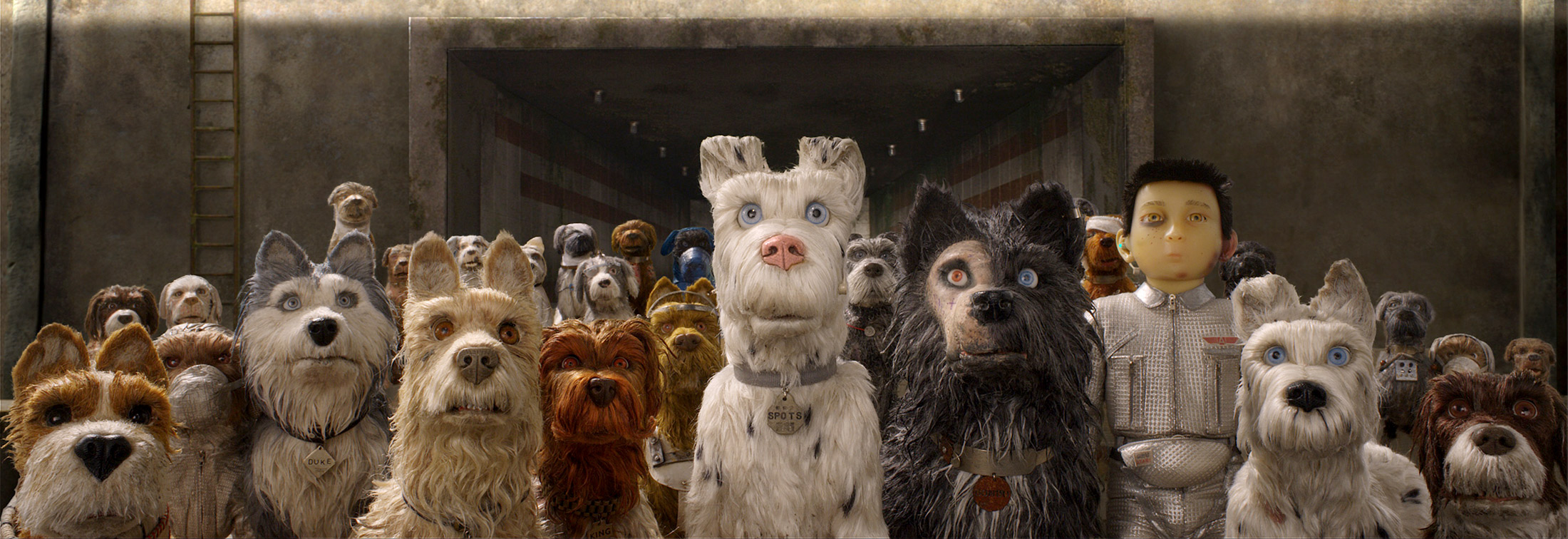 Isle of Dogs - Dog-gone adorable