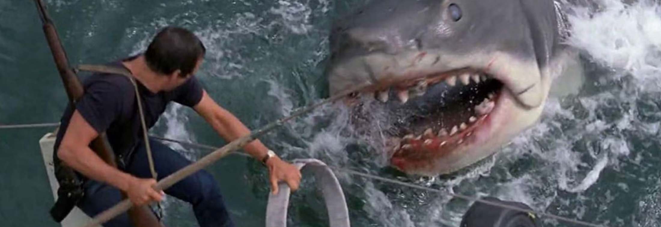 Jaws - Still afraid to go back in the water 40 years on