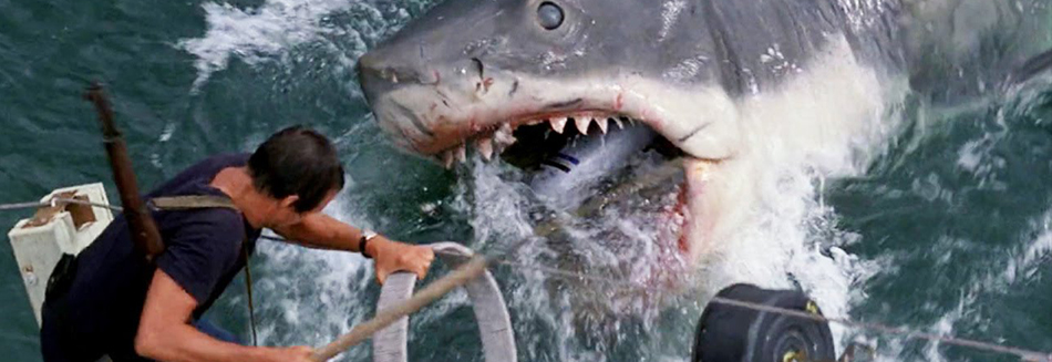 Jaws - Still afraid to go back in the water 40 years on
