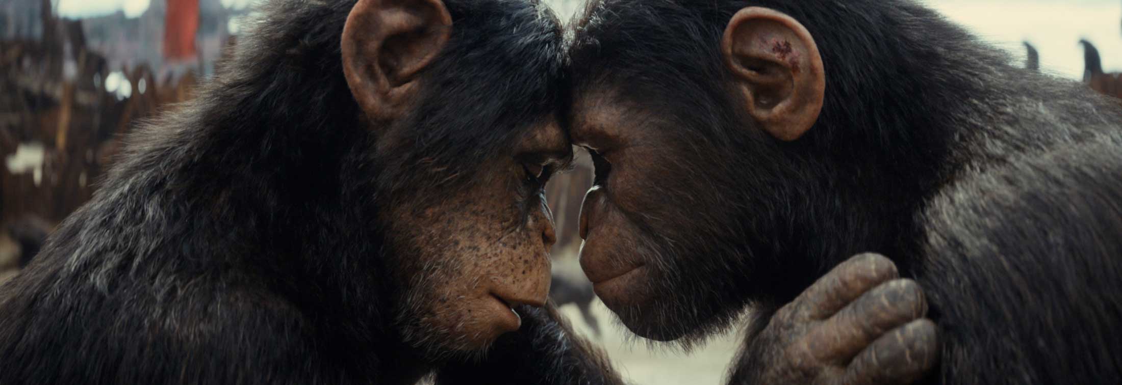 Kingdom of the Planet of the Apes - A new era for the franchise