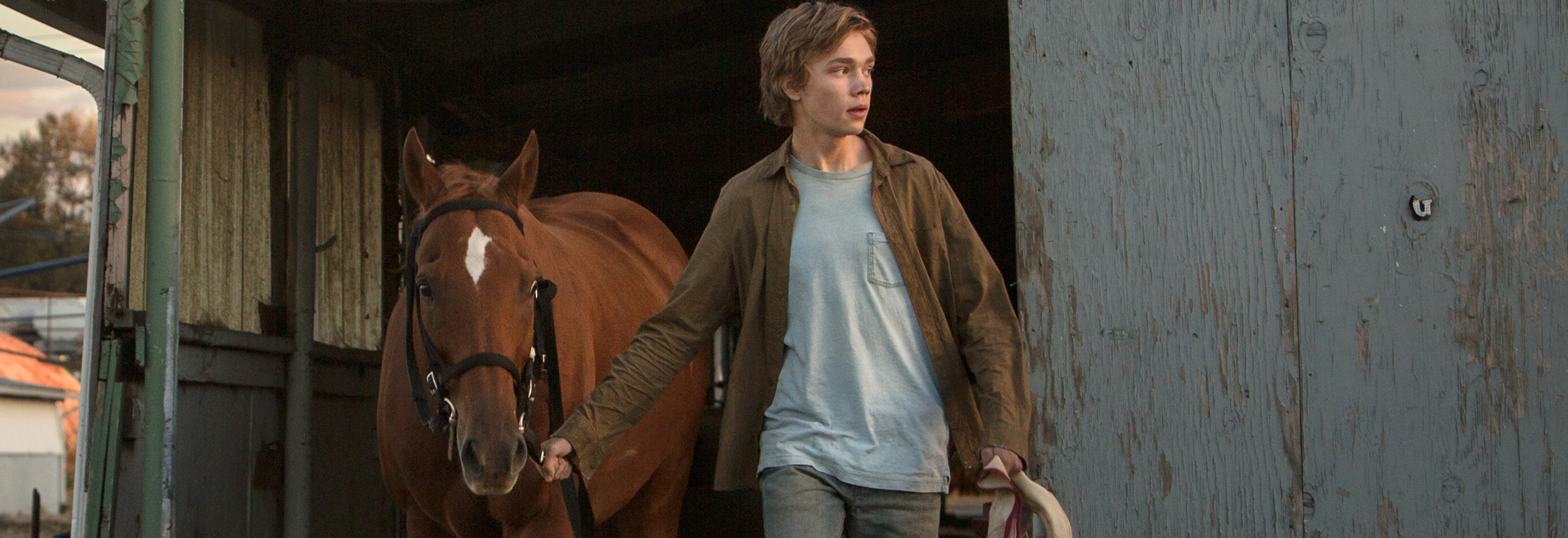 Lean on Pete - A powerfully moving and deeply emotional coming-of-age story