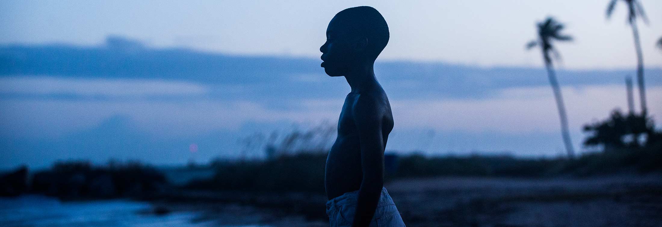 Moonlight - An extraordinary and heartbreaking work of art