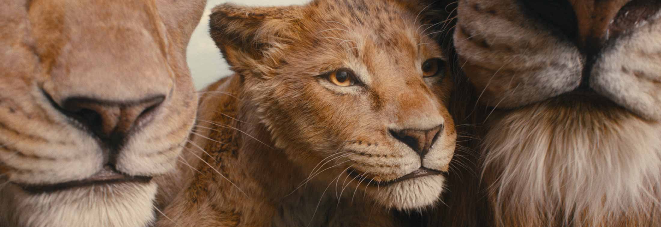 Mufasa: The Lion King - Disney’s redemption arc to fix a legacy