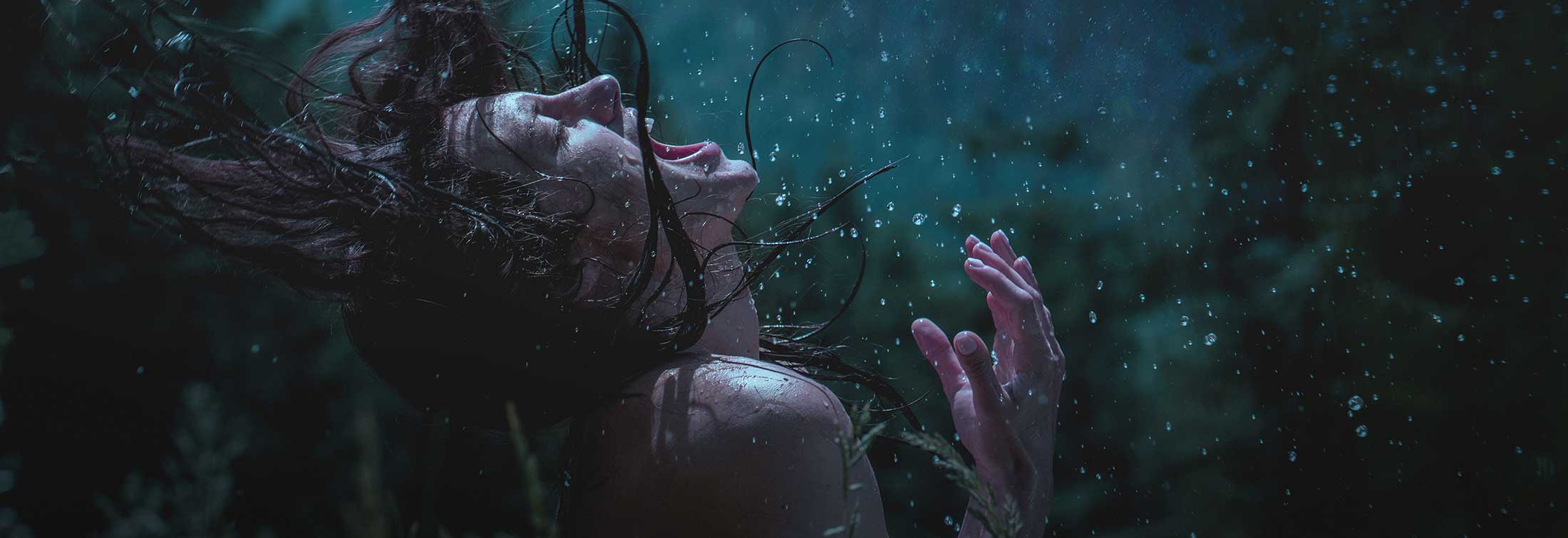 Sydney Film Festival 2023 - The reviews