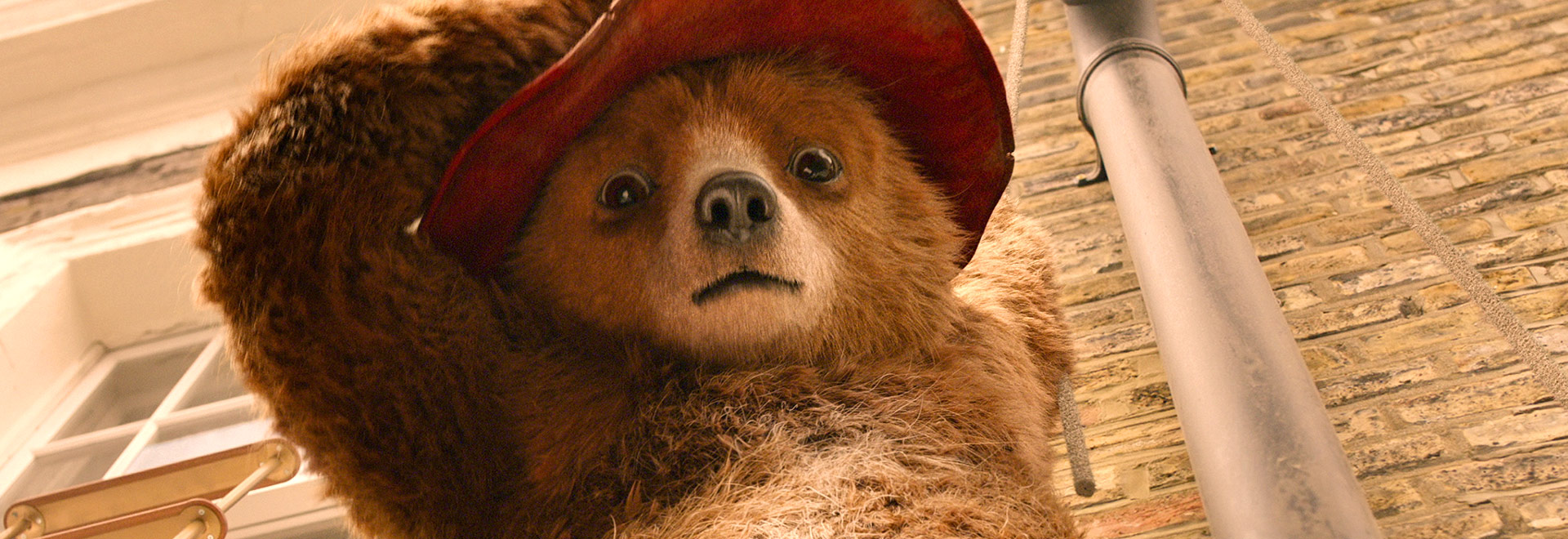 Paddington 2 - Bring this adorable bear into your home