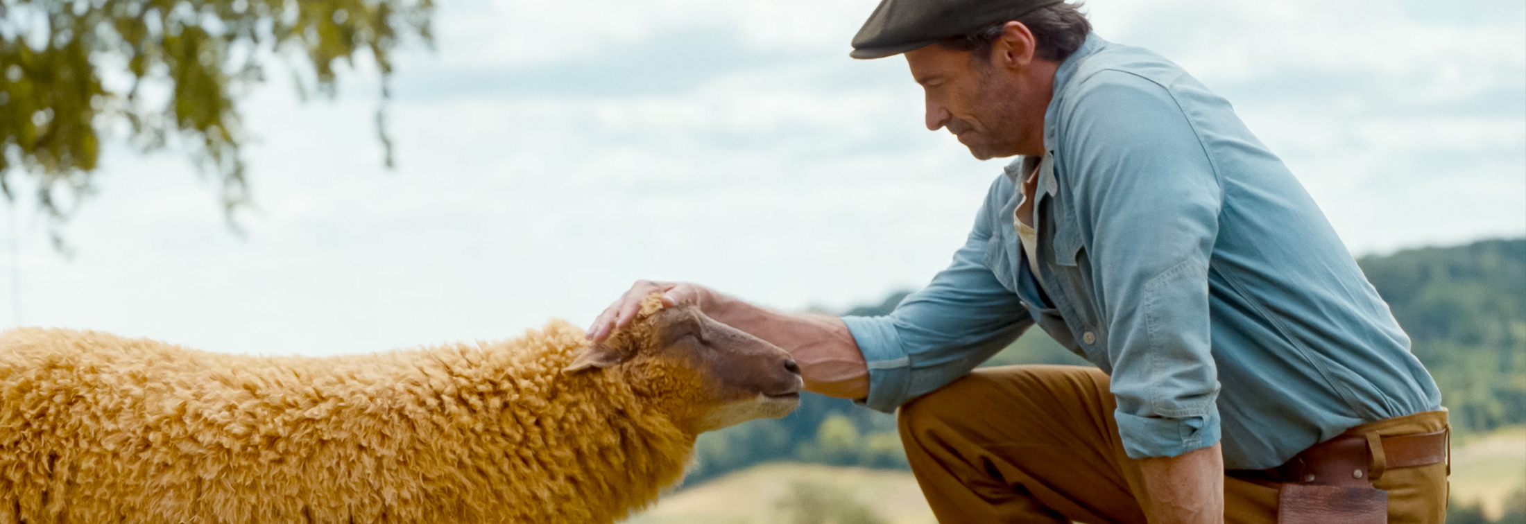 The Sheep Detectives - A woolly good murder mystery