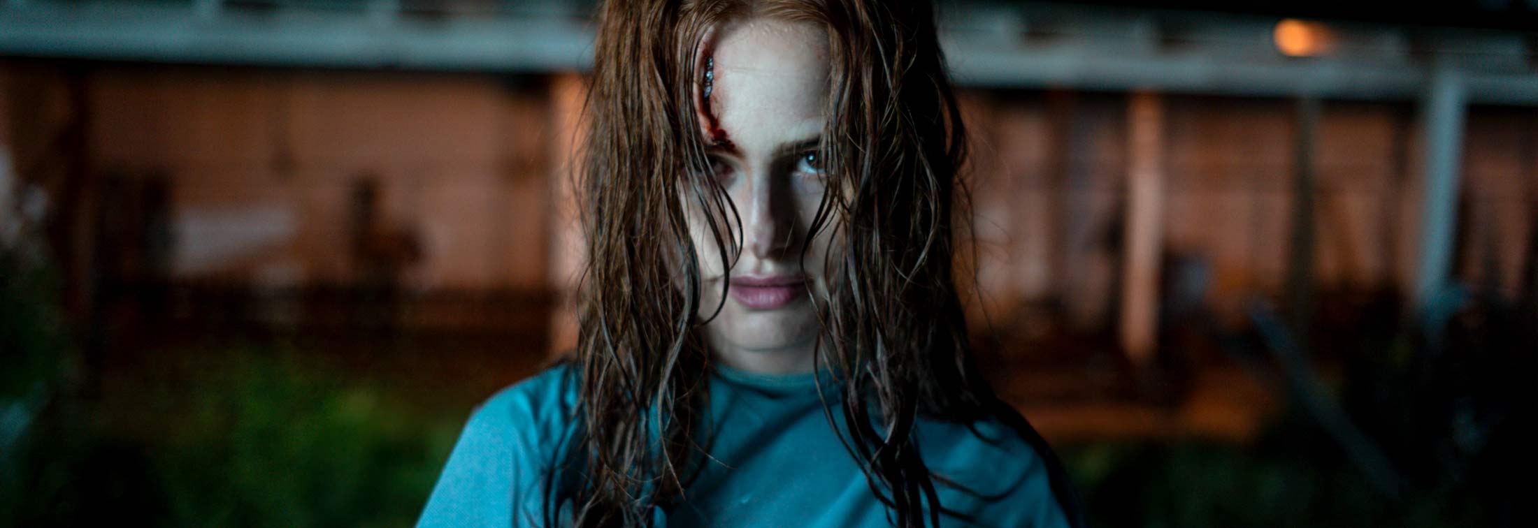 The Strangers: Chapter 2 - Survival was just the beginning