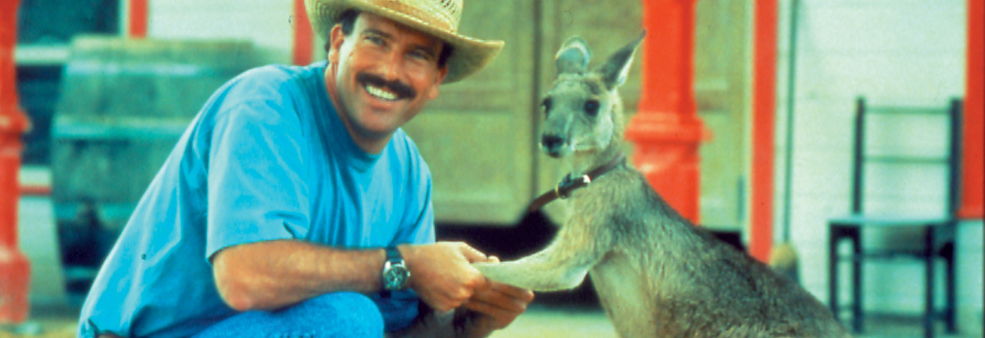 The Adventures Of Skippy - Hop to it to take home this much-loved Aussie icon