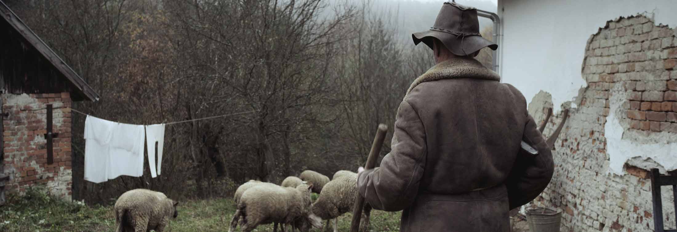The Shepherd - A true story through an unflinching lens