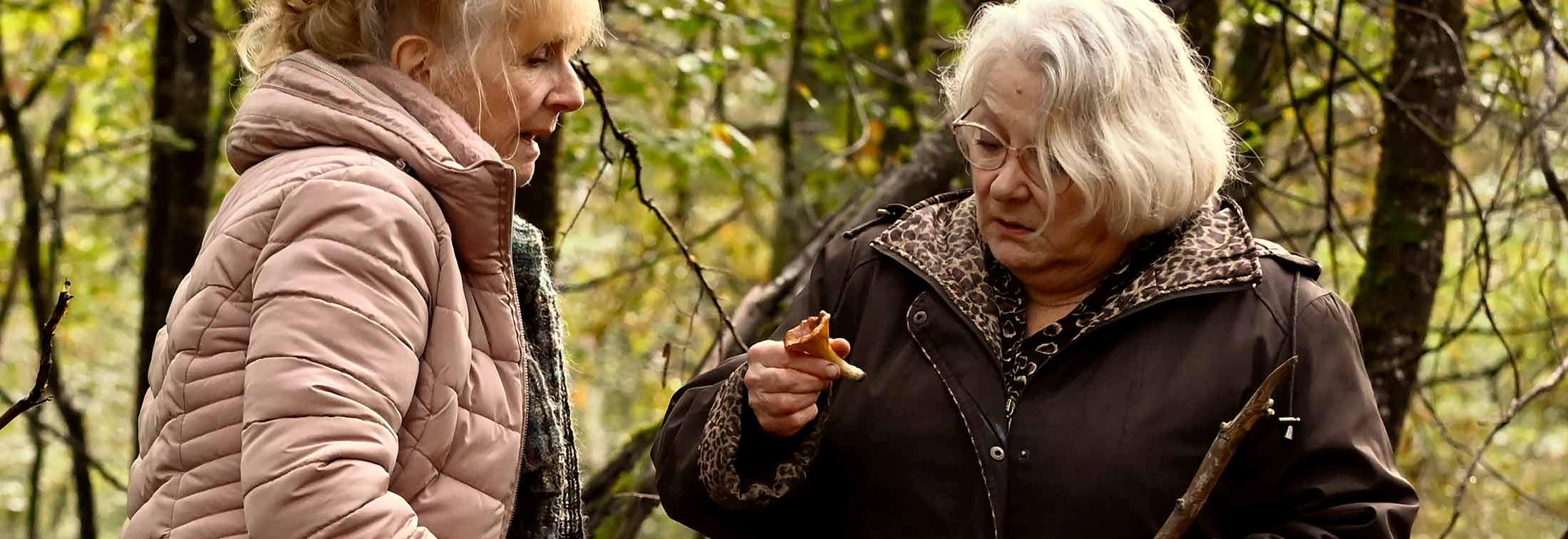 When Fall is Coming - French filmmaker François Ozon serves up a mushroom-related crime at a family lunch